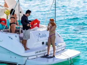 Charter Image