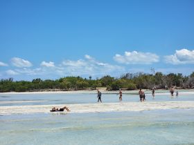 A lively scene at a sandbar with guests enjoying the sun and water, showcasing the perfect beach day for families and friends.