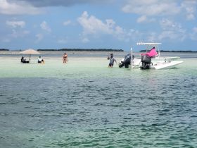 A lively group enjoys a sandbar stop, with some relaxing under an umbrella and others wading in the shallow waters — a perfect day for fun and relaxation on the water.