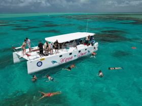 A lively group enjoys snorkeling and swimming around a catamaran in stunning turquoise waters, showcasing the perfect day for aquatic adventures.