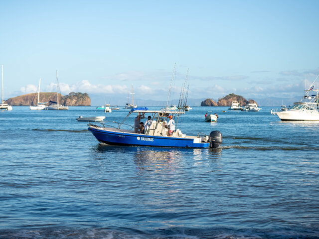 Listing image 1094186