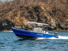 A vibrant blue speedboat named 'Bahamas' glides through the water, showcasing its sleek design against a rugged coastal backdrop.