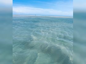 A serene view of shallow waters with a sandy bottom, ideal for exploring marine life or enjoying a peaceful day by the beach.