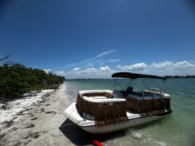 A pontoon boat is docked on a sandy beach, surrounded by clear waters and lush greenery, perfect for a relaxing day on the water.