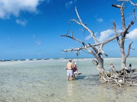 A family enjoys a day at the sandbar, with a child being held while surrounded by boats in the background — a perfect spot for fun in the sun.