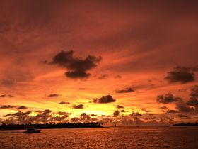 A stunning sunset casts vibrant hues over the water, with a boat cruising along the coastline — a picturesque moment perfect for evening boat trips.