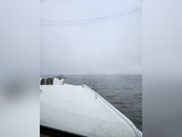 Listing image 1094692