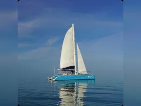 A stunning catamaran sails smoothly across calm waters, reflecting the clear blue sky — an ideal vessel for serene sailing adventures.