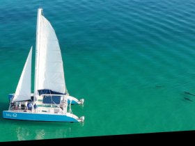 An aerial view of a catamaran sailing in crystal-clear waters, with dolphins swimming nearby — a perfect scene for marine adventure enthusiasts.