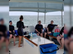 A group of friends relaxes inside a boat, preparing for a snorkeling adventure. The cozy cabin features seating and equipment, perfect for marine exploration.