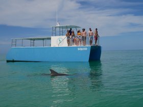 A group of excited guests on the boat 'Squid' watches dolphins swimming nearby in the clear waters, showcasing a thrilling wildlife encounter.