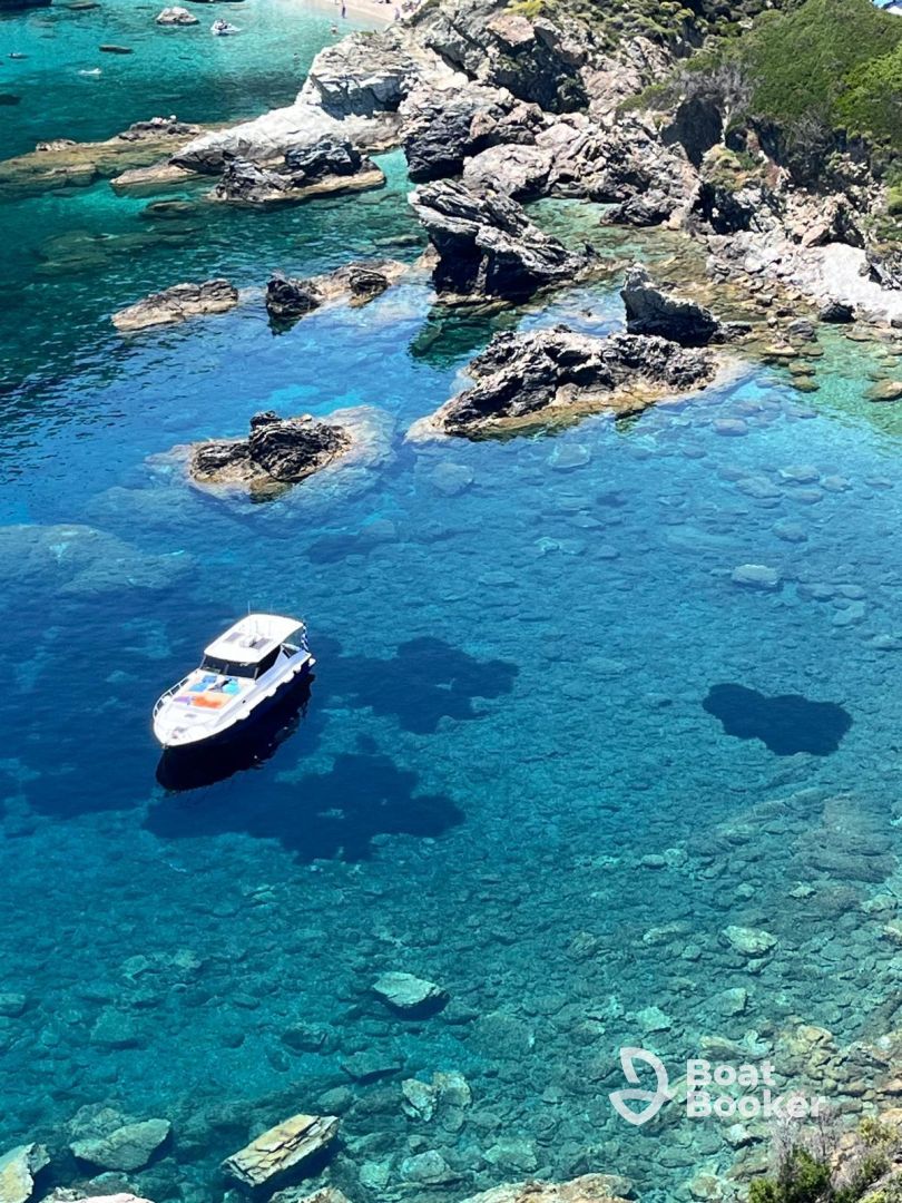 M&A Cruises
