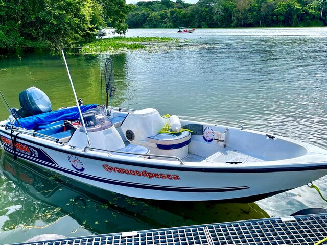Listing image 1123039