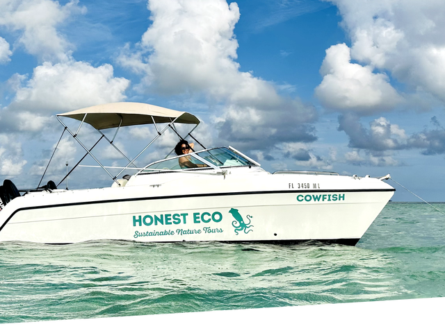 Listing image 1095172
