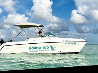 Honest Eco – COWFiSH