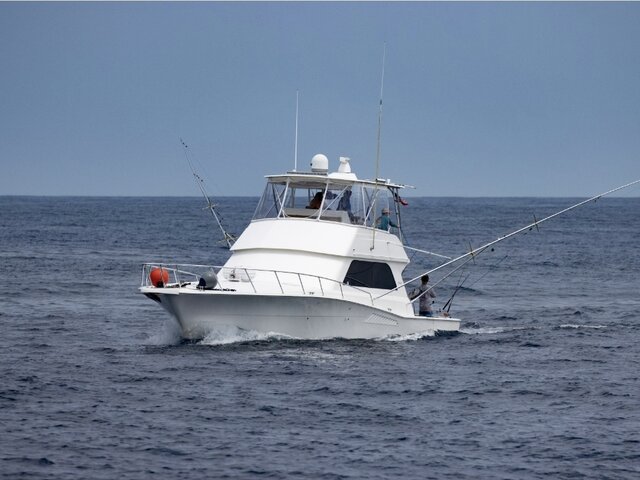 Listing image 1095299