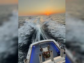 A stunning view from the back of a fishing boat named 'Charlton' as it cruises through the ocean at sunset, leaving a beautiful wake behind.