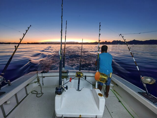 Listing image 1113317