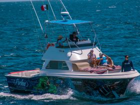 A lively group enjoys a day on the water aboard a fishing boat, soaking up the sun and creating unforgettable memories.