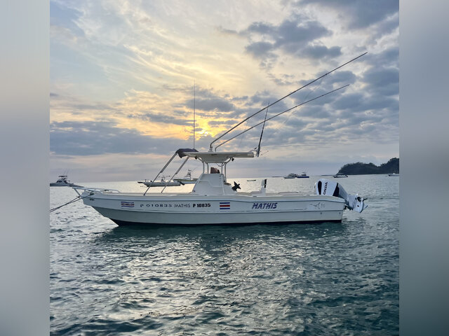 Listing image 1095621
