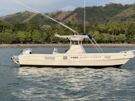 A side view of the Mathis boat anchored in calm waters, surrounded by lush greenery and a beach, ideal for fishing or leisure trips.