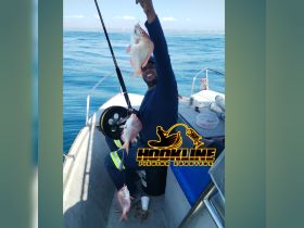 A joyful angler proudly displays his catch of fish while fishing on a boat, showcasing the excitement of a successful day on the water.