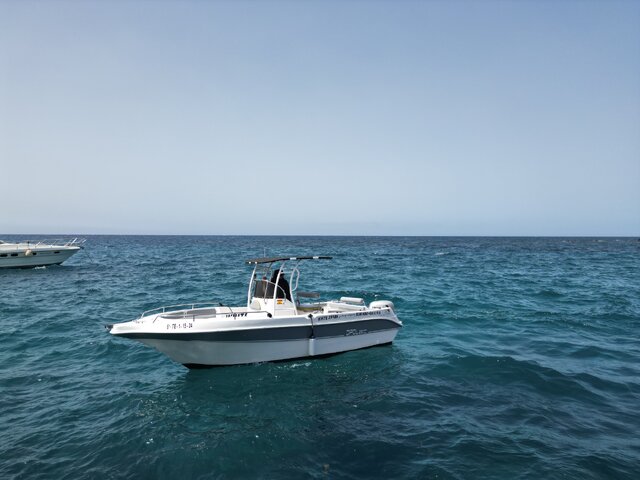 Listing image 1095702