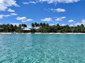 A picturesque view of a serene beach with palm trees and clear turquoise waters, perfect for a relaxing day on the coast.
