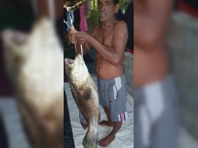 A man proudly displays his impressive catch of a large fish, showcasing the thrill of fishing and the bounty of the sea.