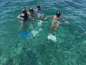A group of friends enjoys snorkeling in crystal-clear waters, surrounded by vibrant marine life — a perfect adventure for ocean lovers.
