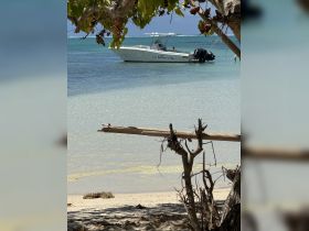 A speedboat named 'La Bella Vita' is docked in tranquil waters, framed by lush greenery — a perfect setting for a day of adventure on the water.