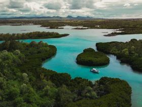 A stunning aerial view of a boat navigating through the lush mangroves and turquoise waters, showcasing the beauty of nature and ideal for eco-tours or island exploration.