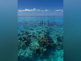 A group of friends paddleboards in crystal-clear waters, showcasing the vibrant underwater scenery — a perfect day for water activities and exploration.