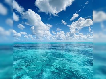 Nirvana Sailing Charters