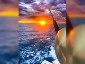 A stunning sunset view from the bow of a boat, showcasing the vibrant colors of the sky reflecting on the water — perfect for evening cruises.