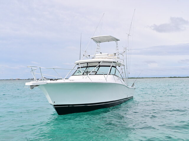 Listing image 1096291