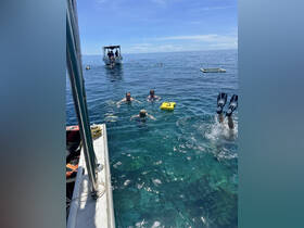 A lively group enjoys snorkeling and swimming in crystal-clear waters, with a boat nearby, making for an exciting day on the water.