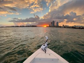 A stunning sunset view from the bow of a boat, showcasing the vibrant colors of the sky and the city skyline in the background — perfect for evening cruises.
