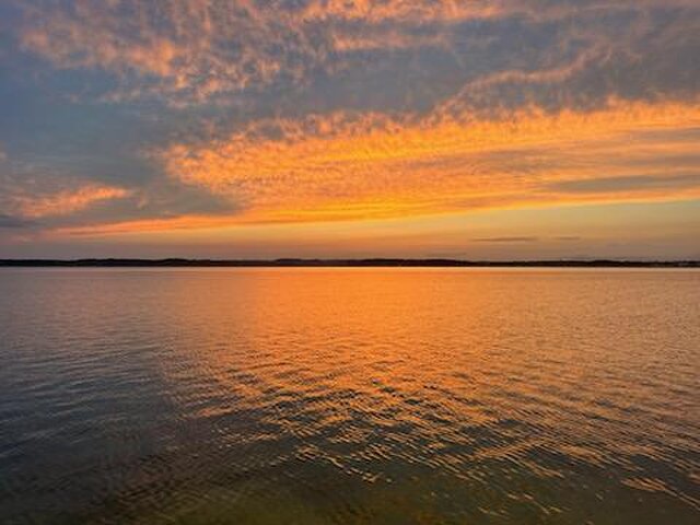 Listing image 1096282