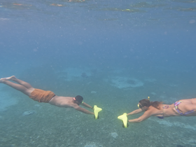 A couple enjoys snorkeling underwater, gliding through clear blue waters — an exhilarating experience perfect for marine exploration.