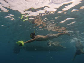 A snorkeler glides through crystal-clear waters, showcasing the thrill of underwater exploration — perfect for adventure seekers and marine life enthusiasts.