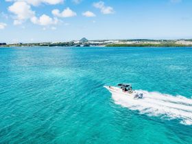 A speedboat glides through stunning turquoise waters, showcasing a lively day on the water with friends enjoying the ride.