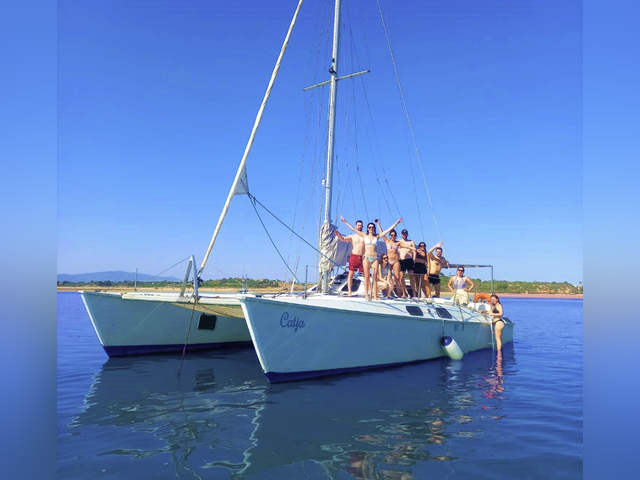 Listing image 1133164