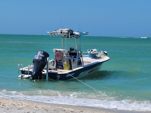 Listing image 1096435