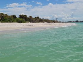 A serene view of a sandy beach with lush greenery and clear turquoise waters, perfect for a relaxing day by the coast.