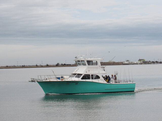 Listing image 1096485