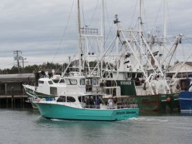 The 'Atlantic Adventure' fishing boat is seen underway, with guests onboard, showcasing the excitement of a fishing trip.