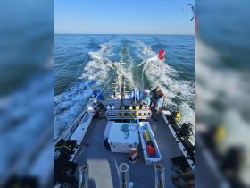 A group prepares for a diving adventure aboard a boat, showcasing scuba gear and a vibrant ocean backdrop — perfect for underwater exploration and marine experiences.