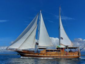 A stunning sailboat glides through the water under a clear blue sky, showcasing its elegant design and sails — perfect for sailing enthusiasts and adventure seekers.