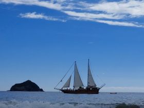 A majestic sailboat navigates the tranquil waters near a small island, showcasing the beauty of sailing adventures on the open sea.